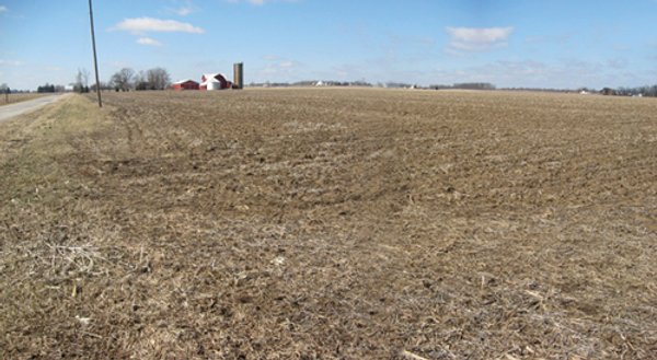 127 Acres Offered in 4 Tracts